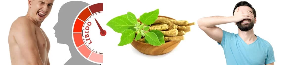 Does-Ashwagandha-make-you-horny in a webp image