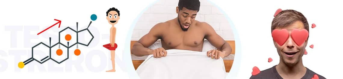 Does-testosterone-make-you-horny in a webp image