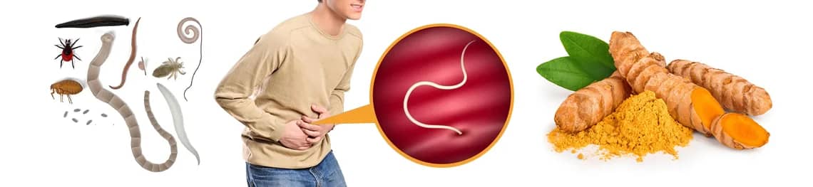 how to do a parasite cleanse into a webp image