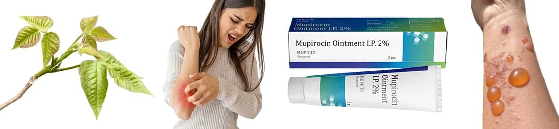 Mupirocin Ointment For Poison Ivy in a webp image