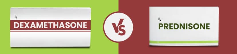 Dexamethasone vs Prednisone