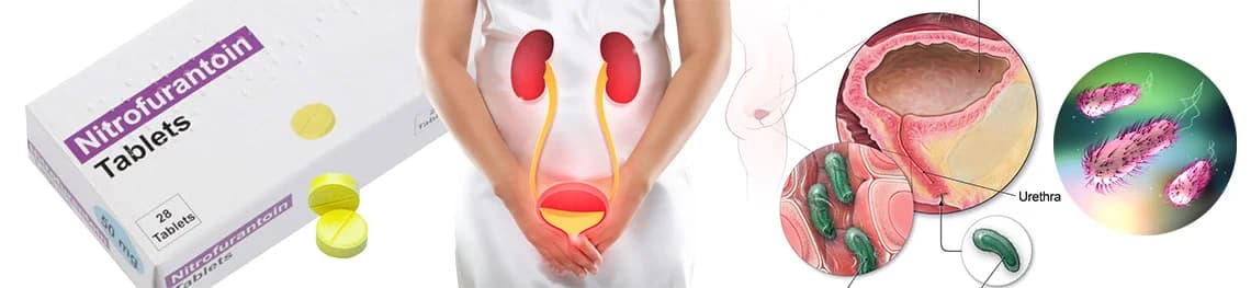 How-long-does-nitrofurantoin-take-to-work-on-a-urinary-tract-infection