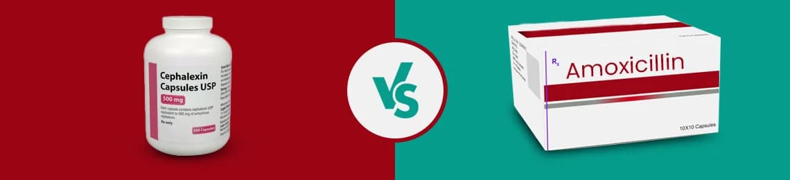 Cephalexin vs Amoxicillin