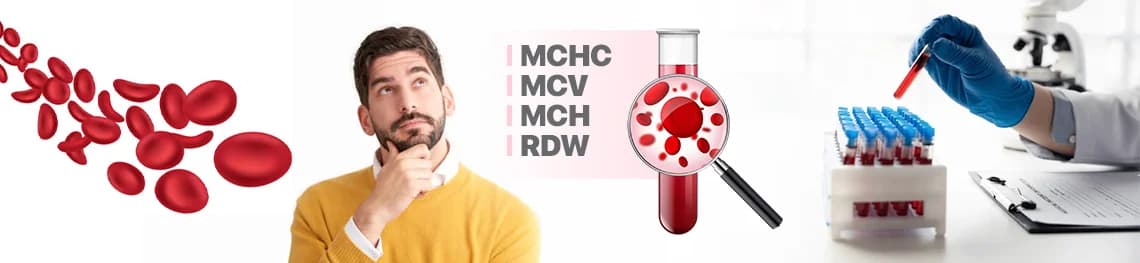 understanding mchc, mcv, and mch, and rdw blood tests in a webp image
