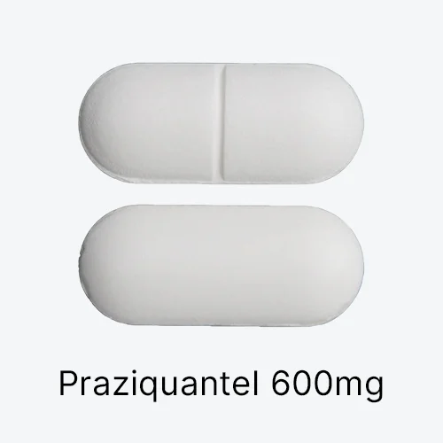 Praziquantel 600mg