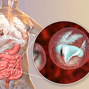 Antiprotozoal Agent