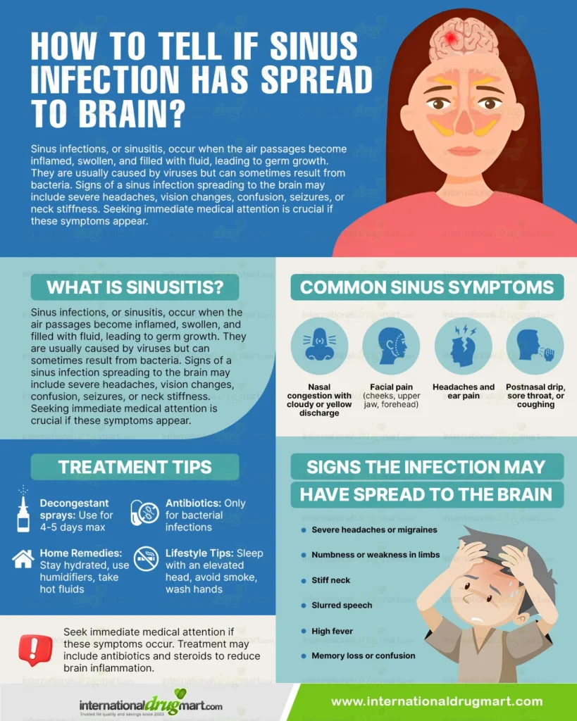 How-to-tell-if-sinus-infection-has-spread-to-brain in a webp image